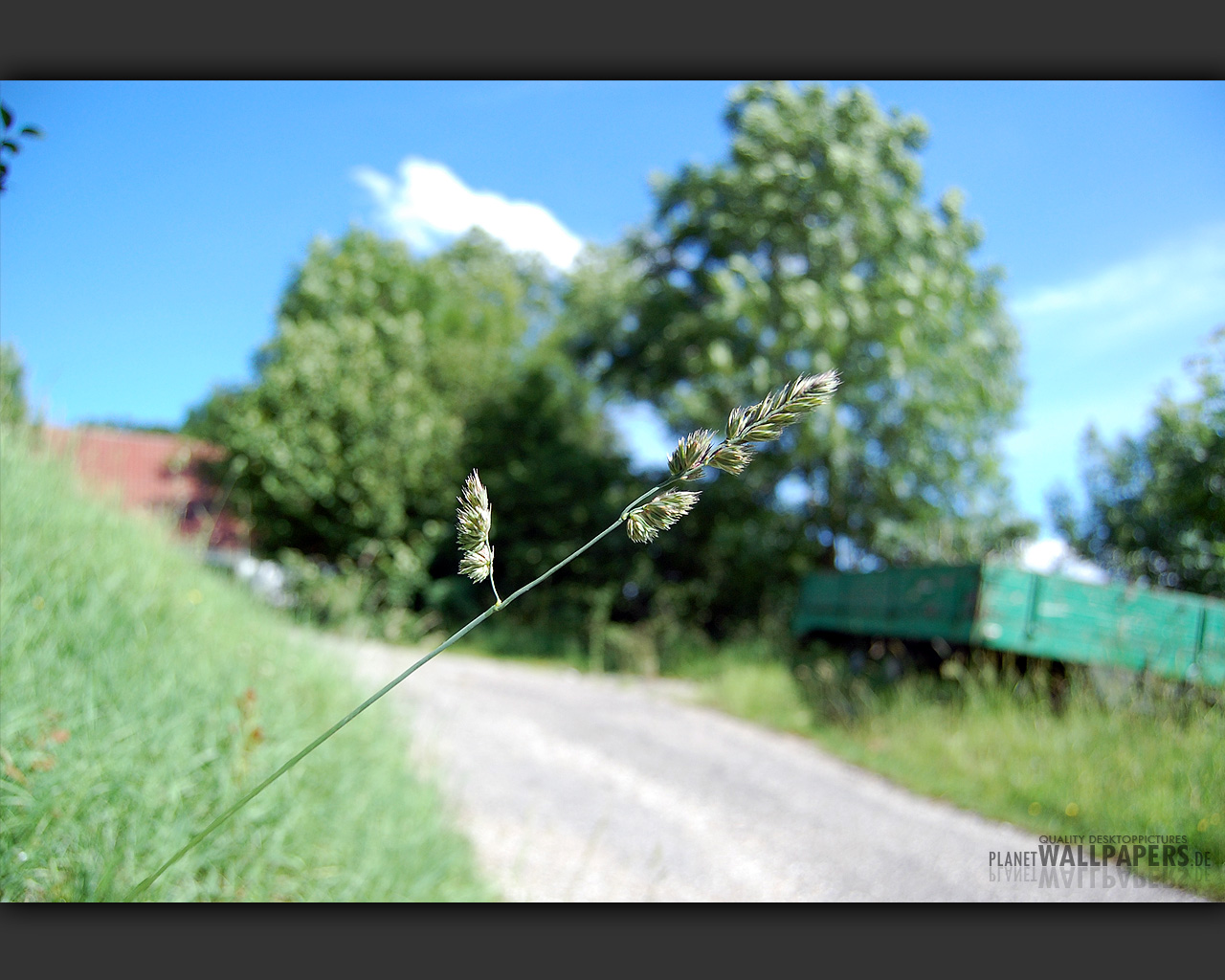 Felder Desktop Bilder