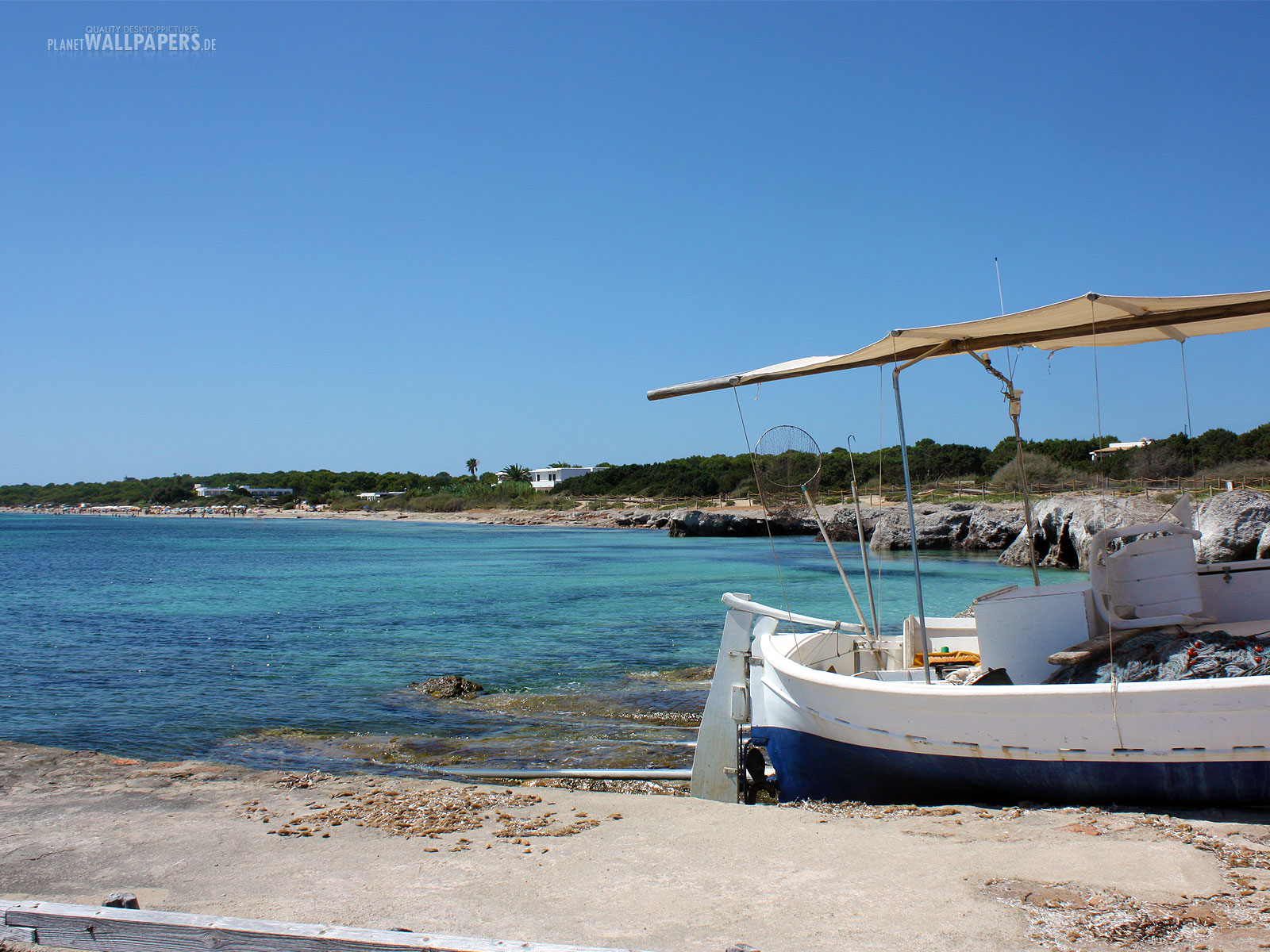 Strand und Palmen Desktop Bilder