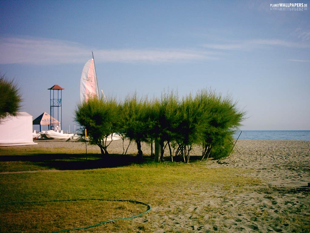 Strand und Palmen Desktop Bilder