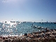 Strand-und-Palmen