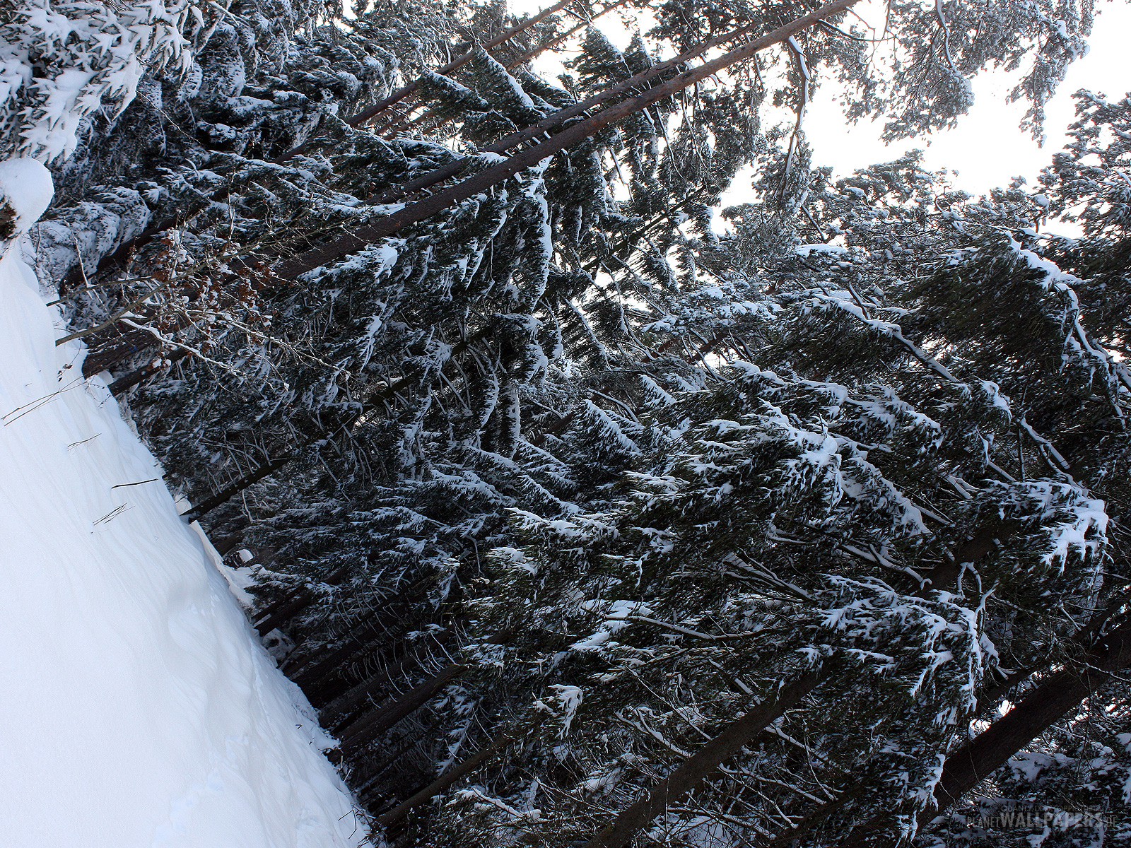 Winterlandschaften Desktop Bilder