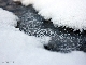 Winterlandschaften