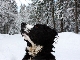 Hunde