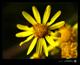 Bild von terrasight.net - #30