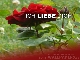 Ich-liebe-dich