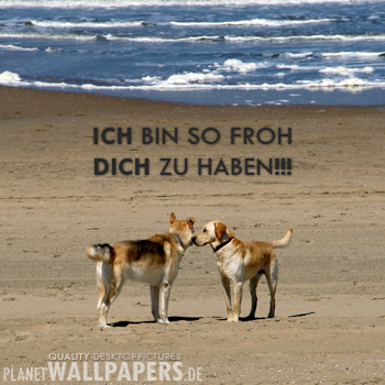 Froh dich zu haben Desktop Bilder