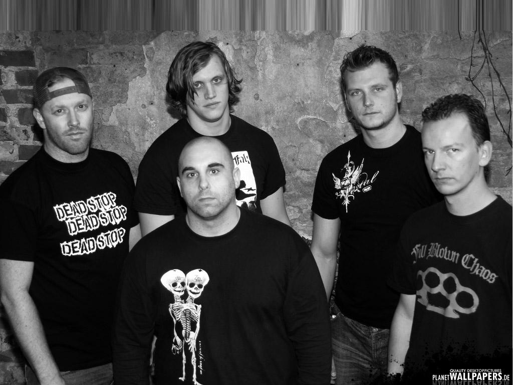 Born From Pain Desktop Bilder