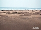 Bilder von Wueste